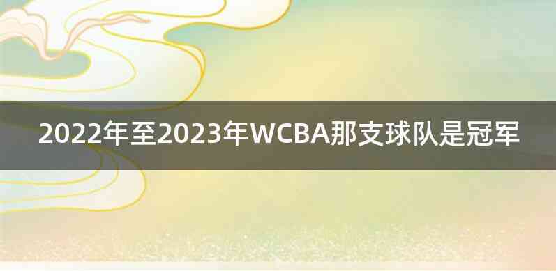2022年至2023年WCBA那支球队是冠军
