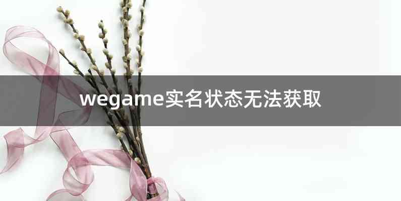 wegame实名状态无法获取