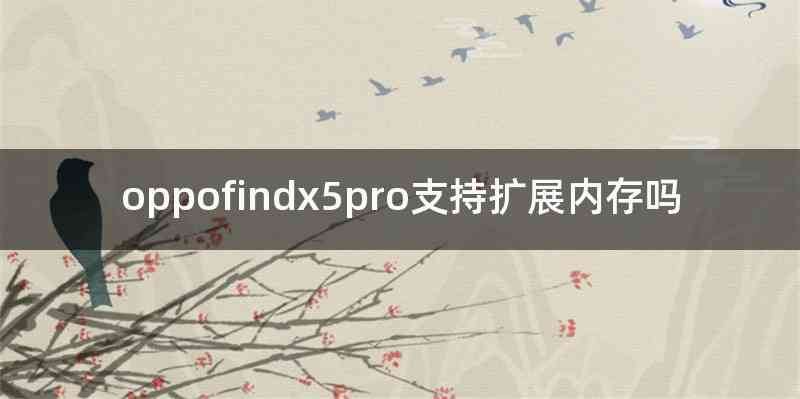 oppofindx5pro支持扩展内存吗