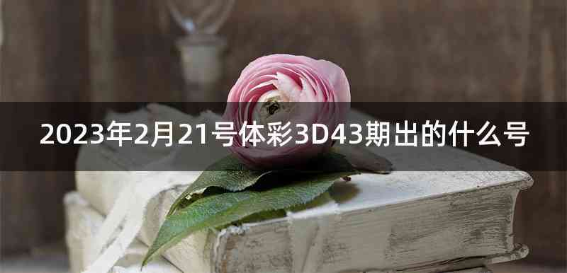 2023年2月21号体彩3D43期出的什么号