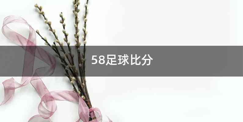 58足球比分