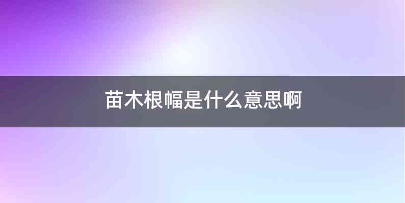 苗木根幅是什么意思啊