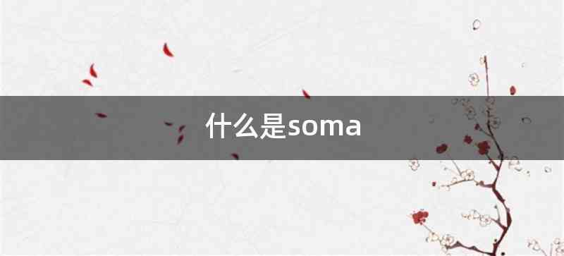 什么是soma