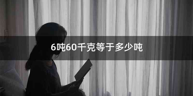 6吨60千克等于多少吨