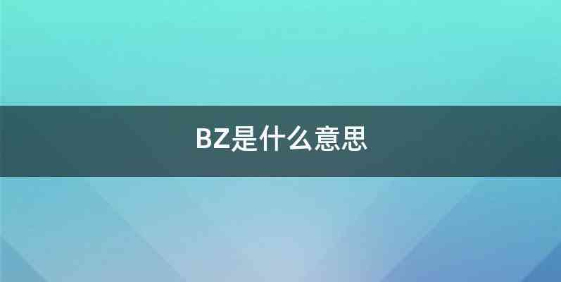 BZ是什么意思