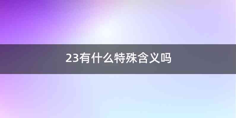 23有什么特殊含义吗