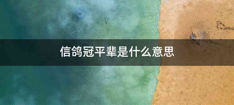 信鸽冠平辈是什么意思