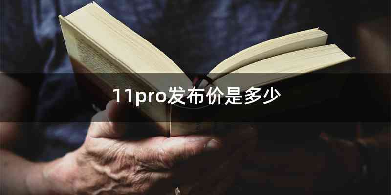 11pro发布价是多少