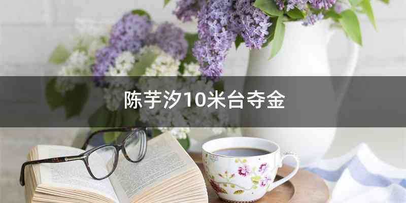 陈芋汐10米台夺金