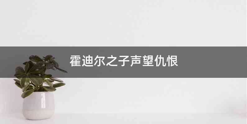 霍迪尔之子声望仇恨