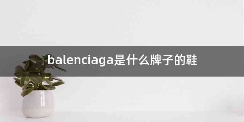 balenciaga是什么牌子的鞋