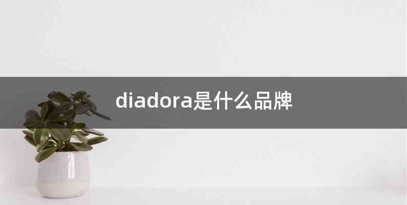 diadora是什么品牌
