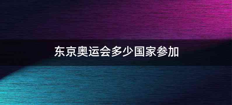 东京奥运会多少国家参加