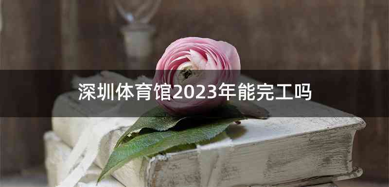 深圳体育馆2023年能完工吗