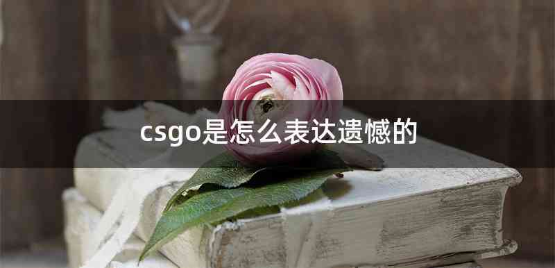 csgo是怎么表达遗憾的