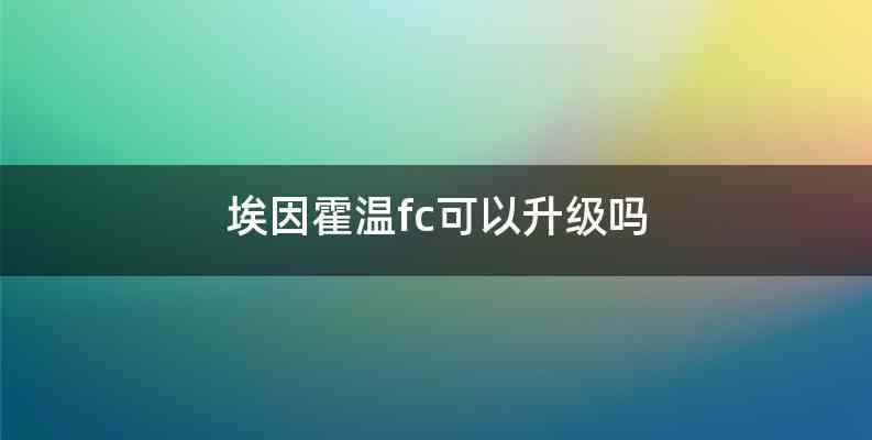 埃因霍温fc可以升级吗