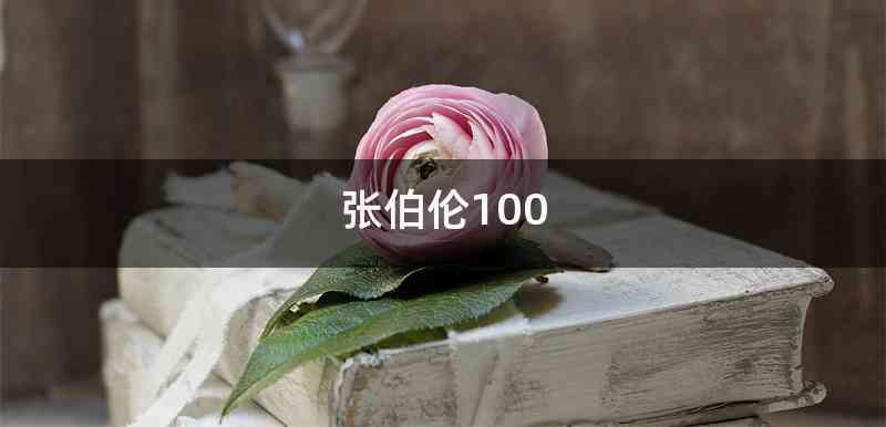 张伯伦100