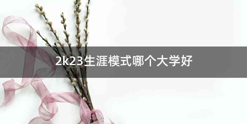 2k23生涯模式哪个大学好