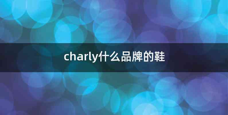 charly什么品牌的鞋