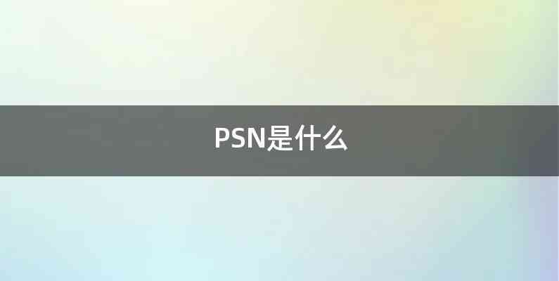 PSN是什么