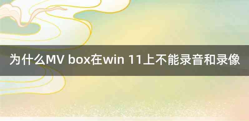 为什么MV box在win 11上不能录音和录像