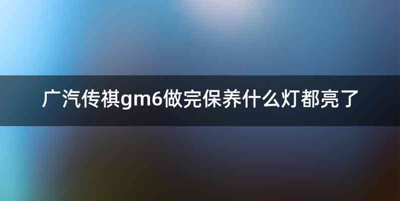 广汽传祺gm6做完保养什么灯都亮了