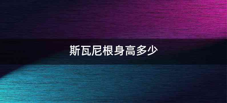 斯瓦尼根身高多少