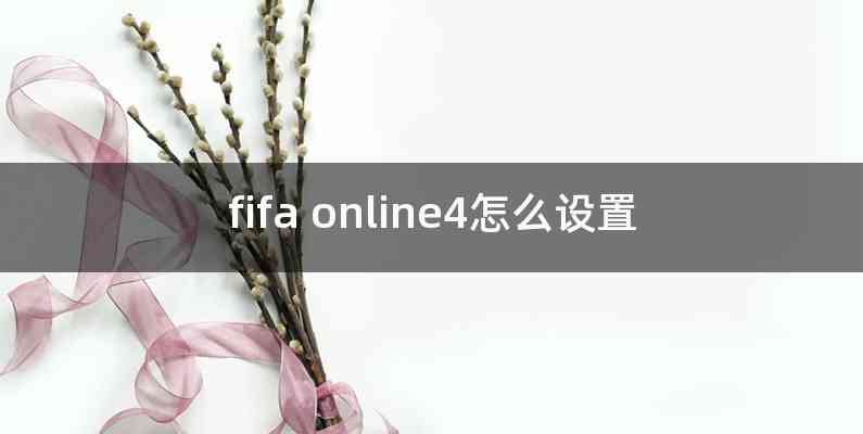 fifa online4怎么设置