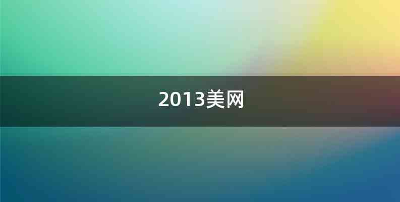 2013美网