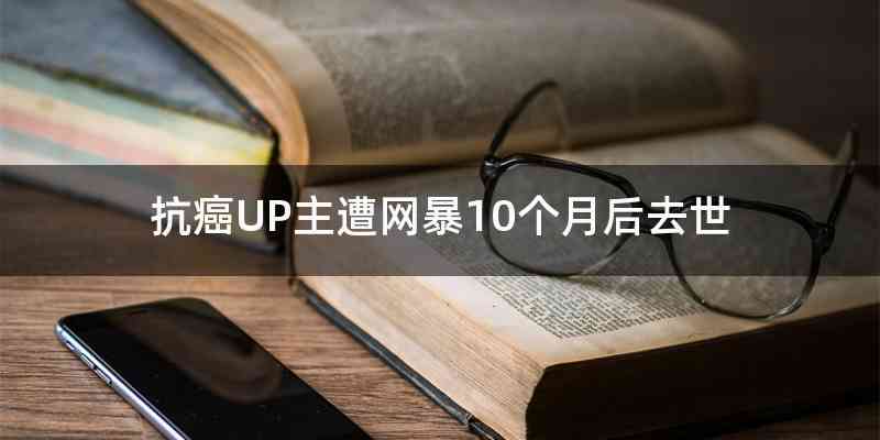 抗癌UP主遭网暴10个月后去世