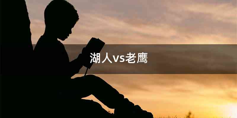 湖人vs老鹰