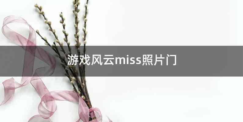 游戏风云miss照片门