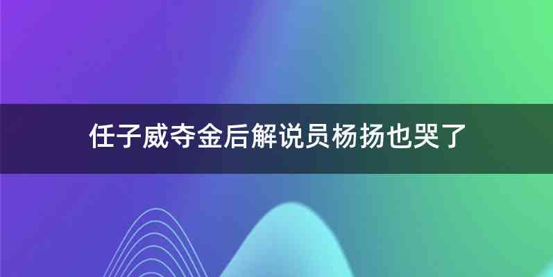 任子威夺金后解说员杨扬也哭了