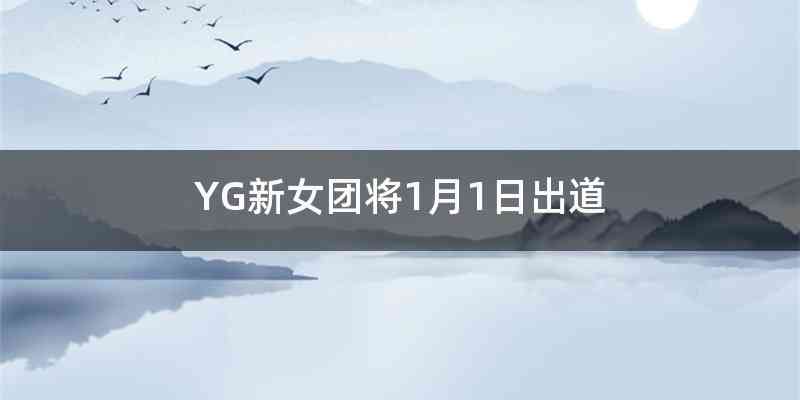 YG新女团将1月1日出道