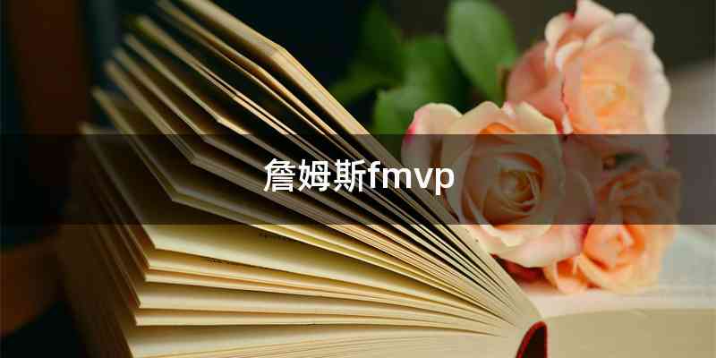 詹姆斯fmvp