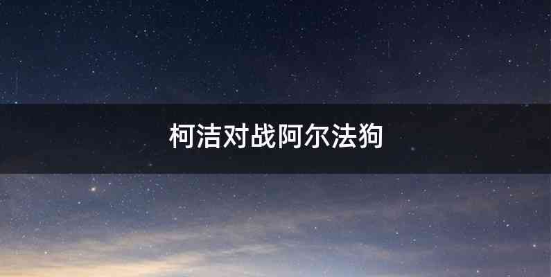 柯洁对战阿尔法狗