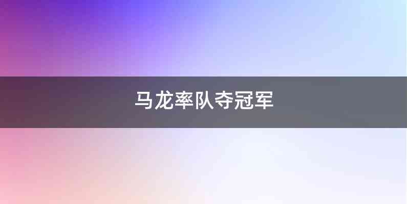 马龙率队夺冠军