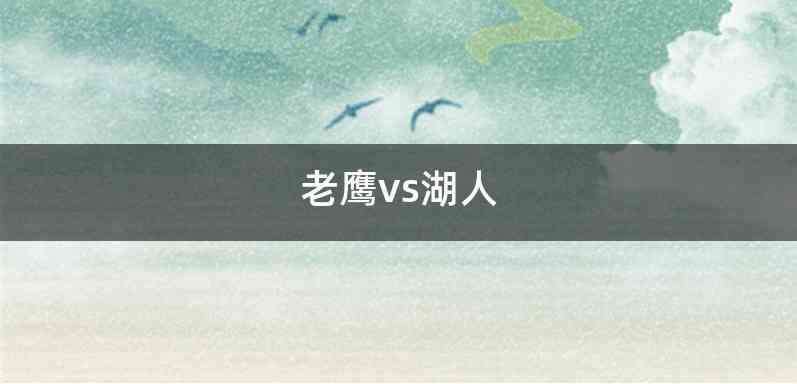 老鹰vs湖人