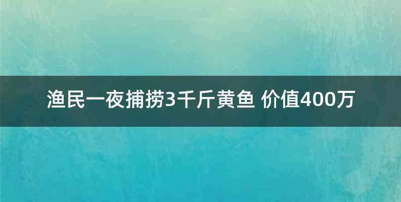 渔民一夜捕捞3千斤黄鱼 价值400万