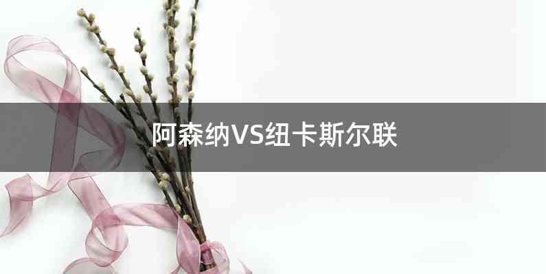 阿森纳VS纽卡斯尔联