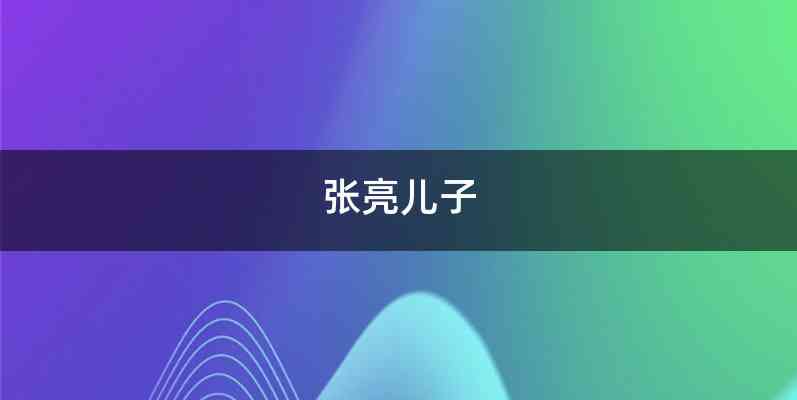 张亮儿子