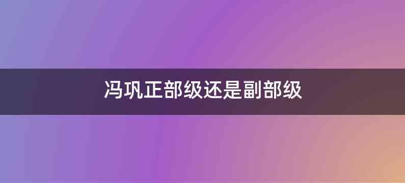 冯巩正部级还是副部级