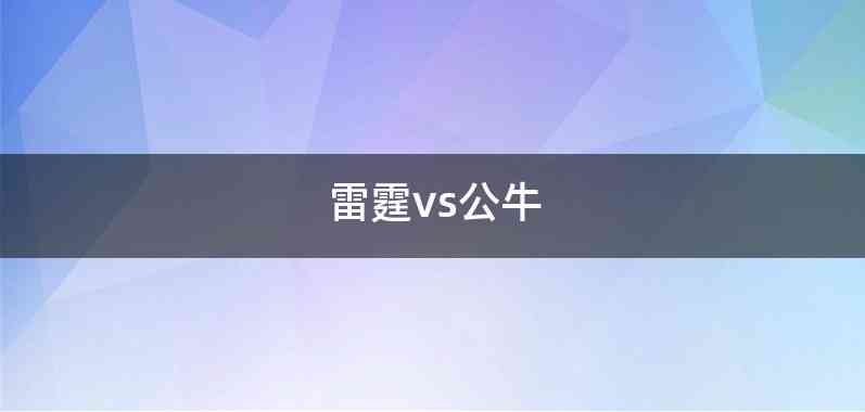 雷霆vs公牛