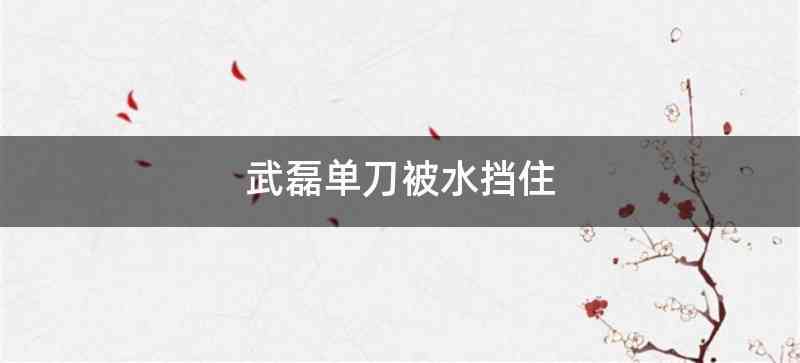 武磊单刀被水挡住