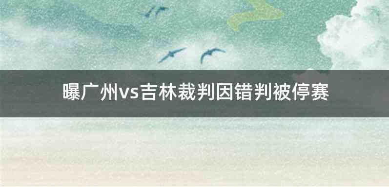 曝广州vs吉林裁判因错判被停赛