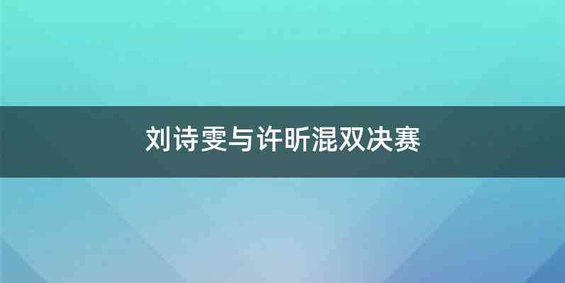 刘诗雯与许昕混双决赛