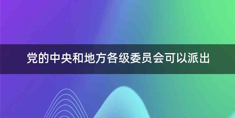 党的中央和地方各级委员会可以派出