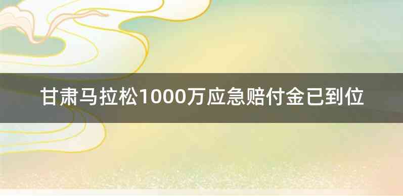 甘肃马拉松1000万应急赔付金已到位