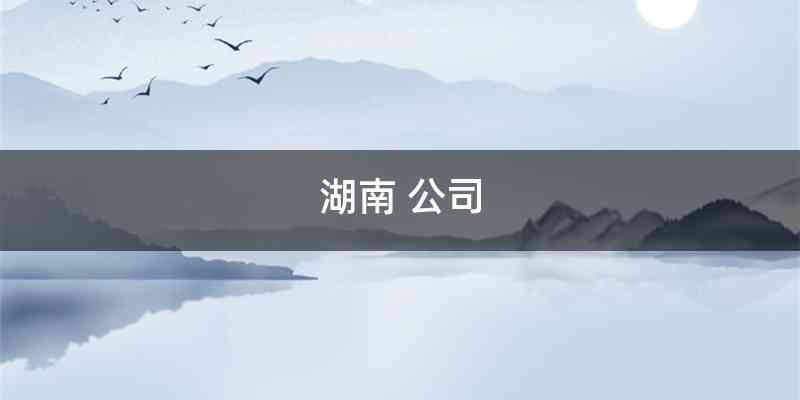 湖南 公司