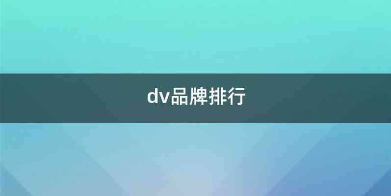 dv品牌排行